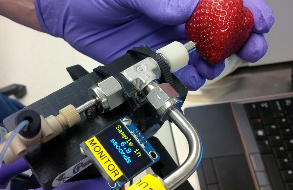 Oak Ridge National Laboratory’s PenDoc makes sampling the surface of a strawberry for pesticides, for example, quick and easy.