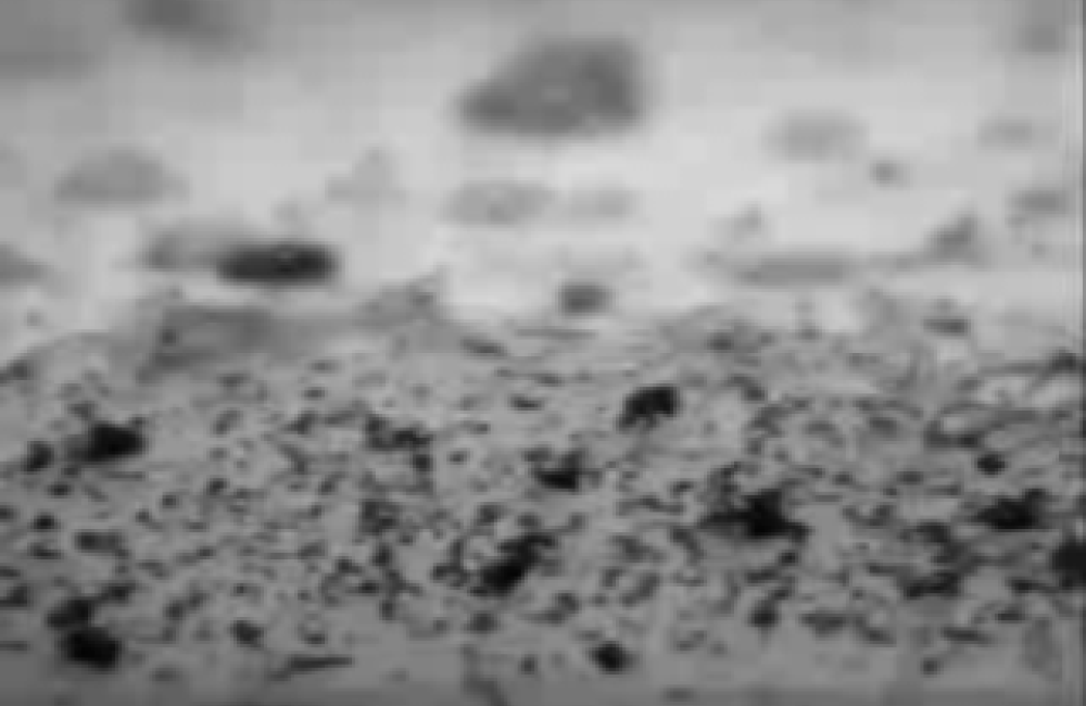A superhydrophobic additive increases resistance to water, soiling and microbial growth.