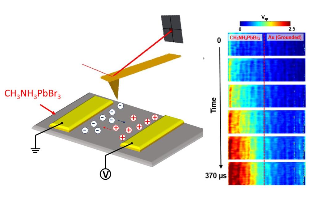  ORNL researchers demonstrated ultrafast mapping of surface voltage dynamics because of ion migration induced by an electric field in a perovskite solar-cell device. Credit: Liam Collins/Oak Ridge National Laboratory, U.S. Dept. of Energy