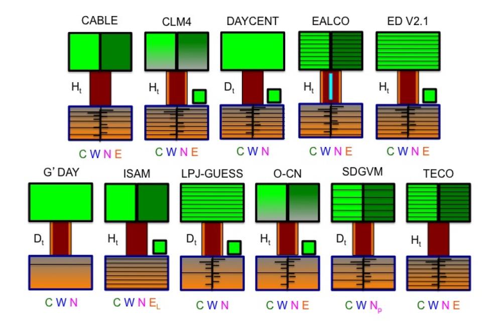 Predicting how forests and grasslands might respond to environmental change could become more precise thanks to a new method co-developed by Oak Ridge National Laboratory, Florida State University and Pacific Northwest National Laboratory.