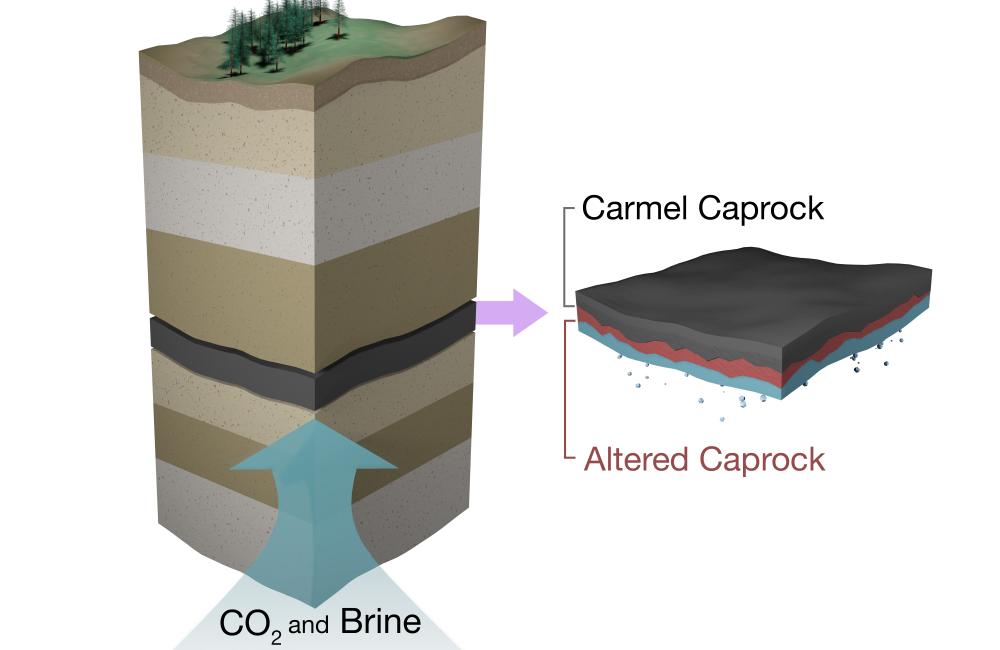 The Carmel caprock, which overlies an aquifer naturally charged with carbon dioxide, was analyzed with neutron scattering, revealing alteration only in the basal 7 cm and progression of caprock corrosion an order of magnitude slower than expected.