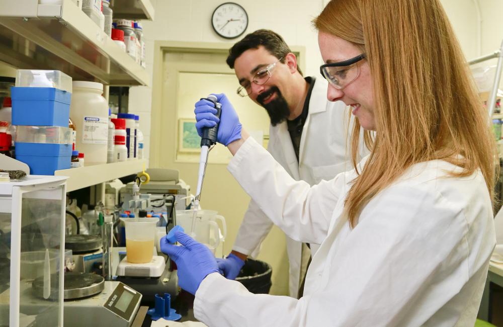 Beth Papanek, working with nutrients for bacterial growth, and Adam Guss are among the ORNL authors of a paper published in Metabolic Engineering.