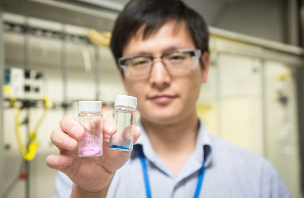 The Neutron Sciences Directorate’s two most recent distinguished fellows, Panchao Yin (left) and Bianca Haberl (below), are making major contributions to their respective fields. Image credit - Genevieve Martin