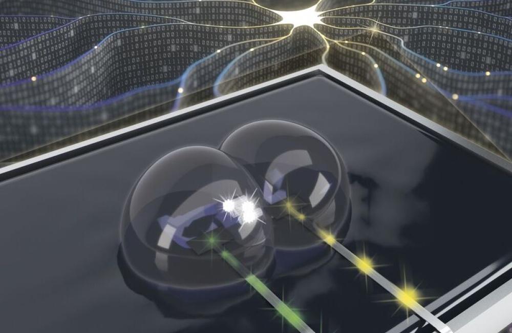 Computing building blocks of soft materials may someday directly interface with the brain, according to researchers at Oak Ridge National Laboratory and the University of Tennessee. Credit: Joseph Najem, Oak Ridge National Laboratory/U.S. Dept. of Energy