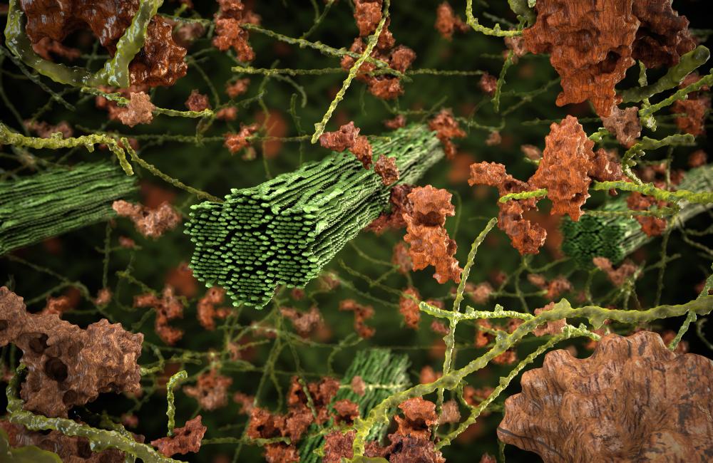 ORNL’s Jeremy Smith is studying the recalcitrance of biomass to enable cheaper, more efficient biofuels and other high-value chemicals.