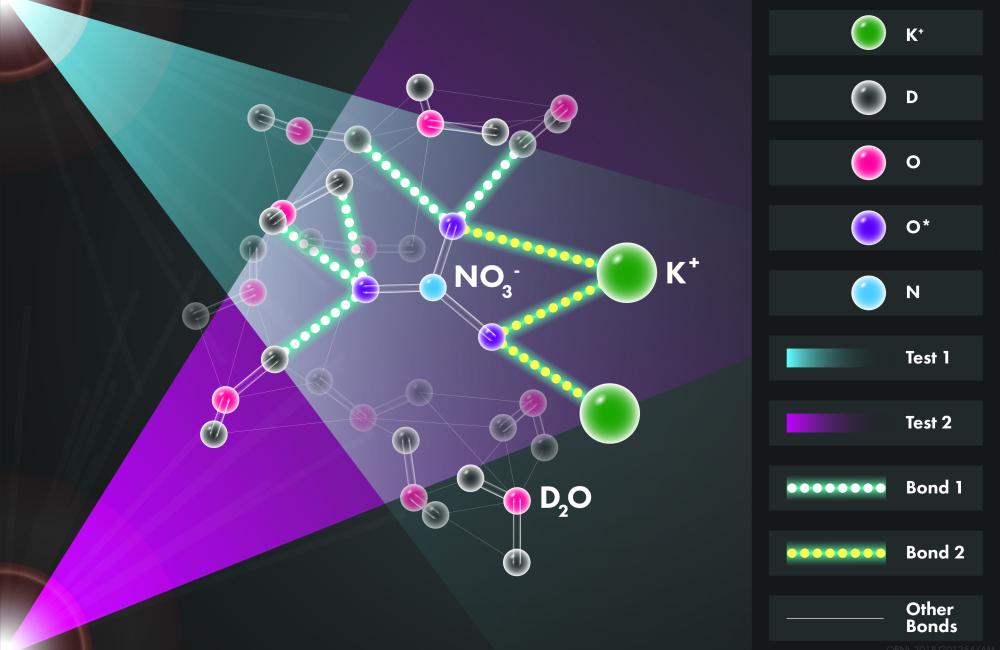 Two neutron diffraction experiments (represented by pink and blue neutron beams) probed a salty solution to reveal its atomic structure. The only difference between the experiments was the identity of the oxygen isotope (O*) that labeled nitrate molecules