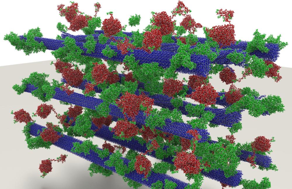 Researchers used experimental data to create a 23.7-million atom biomass model featuring cellulose (purple), lignin (brown), and enzymes (green). (Image credit: Mike Matheson, ORNL) Researchers used experimental data to create a 23.7-million atom biomass model featuring cellulose (purple), lignin (brown), and enzymes (green). (Image credit: Mike Matheson, ORNL)