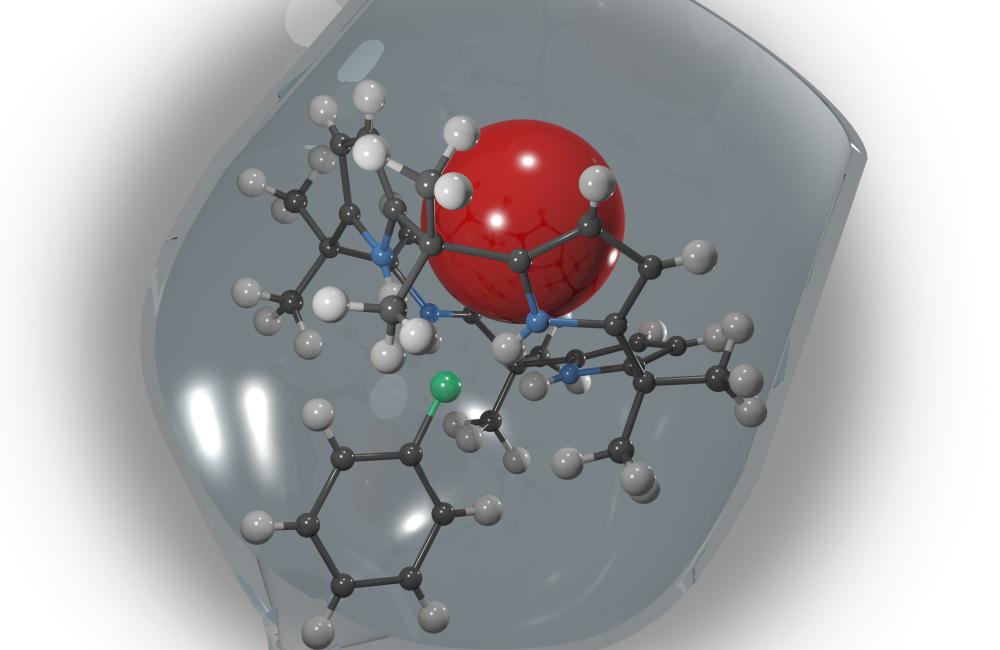In unbound calyx[4]pyrrole, two pyrrole “petals” are flipped up and two, down.
