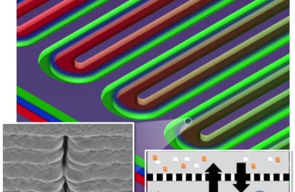 This section of a serpentine channel reactor shows the parallel reactor and feeder channels separated by a nanoporous membrane. At left is a single nanopore viewed from the side; at right is a diagram of metabolite exchange across the membrane.