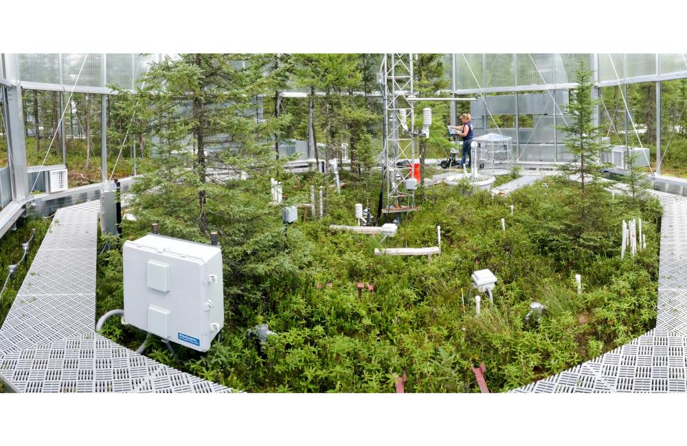 By controlling the temperature and the amount of carbon dioxide in the test chambers, scientists hope to learn how microbial communities, moss populations, various higher plant types and some insect groups respond.