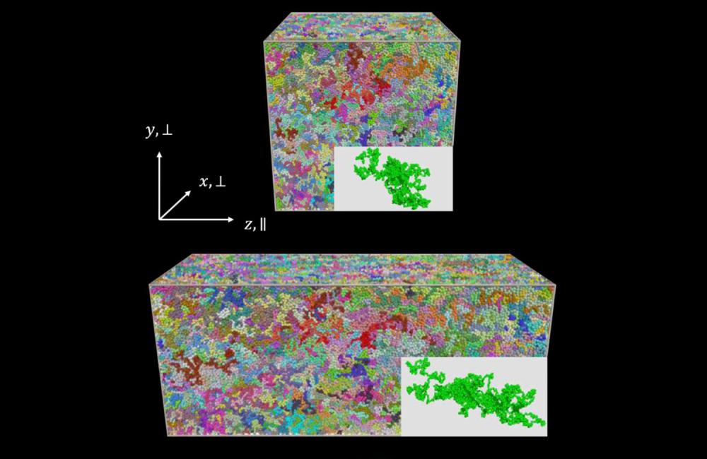 Studies of simulated entangled polymers in equilibrium and following deformation may indicate that a 40-year-old theory of how plastic polymers behavior during processing needs updating. Credit: Yangyang Wang/Oak Ridge National Laboratory, U.S. DOE