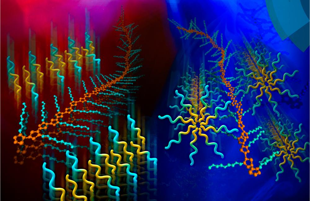 A surfactant template guides the self-assembly of functional polymer structures in an aqueous solution. Image credit: Oak Ridge National Laboratory, U.S. Dept. of Energy; image by Youngkyu Han and Renee Manning.