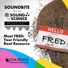 Soundbite: Meet FRED — Your Friendly Root Resource