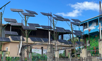 solar panels on poles