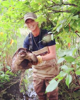 Species monitoring and turtle trapping