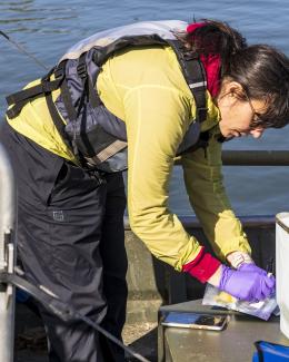 Collecting water samples for eDNA analysis