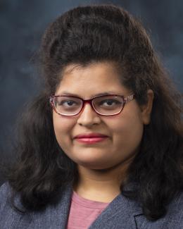 Naw Safrin Sattar