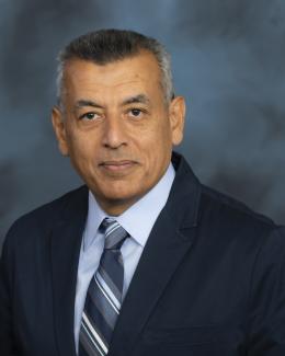 Walid A. Metwally