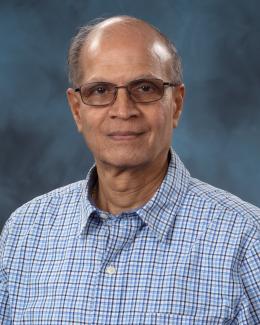 Ramesh Bhave Portrait