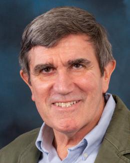 Brian H Davison