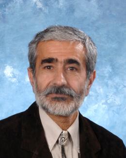 Saed Mirzadeh Saed Mirzadeh