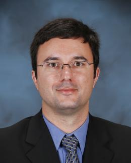 Steven P Hamilton