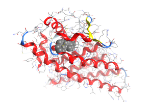Supercomputers could help speed up the drug discovery process by identifying suitable chemicals (seen as gray spheres) that can dock onto a designated target in the body, such as a protein (seen as red ribbons).