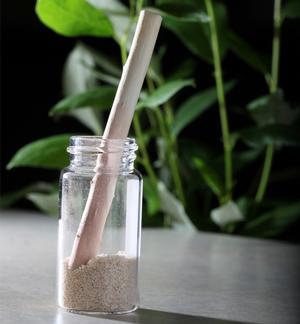 Scientists from the Department of Energy's BioEnergy Research Center are testing core samples from poplar trees to identify key characteristics that influence how the plants can be more effectively processed into biofuels. 