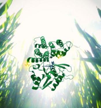 Researchers at the BioEnergy Science Center have identified a single gene, represented in this protein structure visualization, that is responsible for ethanol tolerance in C. thermocelllum.  Image - T Splettstoesser, scistyle.com