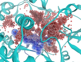 ORNL researchers used simulation to reveal how water molecules (seen in red) move in and out of the active site (seen in blue) of a P450 enzyme. This class of enzymes is responsible for detoxifying a large fraction of drugs taken by humans.