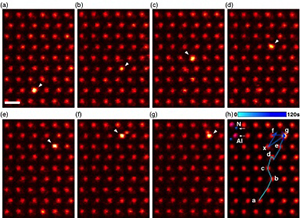 Selected frames from a sequence of scanning transmission electron microscope images showing the diffusion pathway of a Ce dopant (the bright atom highlighted with a white arrow) as it moves inside a bulk AlN crystal.  The final frame overlays the Ce pathway on the Z-contrast image obtained by averaging each frame.
