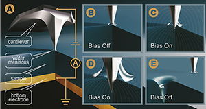 Researchers used electricity and water to control friction levels on ionic surfaces at the nanoscale. As water forms around the nanoscale electrode, it allows for further penetration into the sample surface, thereby increasing or decreasing friction.