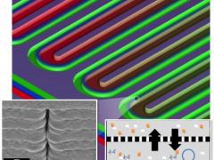 ORNL cell-free protein synthesis is potential lifesaver