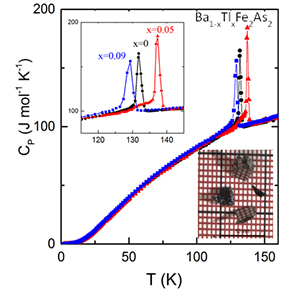 Temperature-dependent heat capacity for Ba1-xTlxFe2As2shows an increase in magneto-elastic anomaly at 5%, then the usual drop at 9%. Typical single crystal size is shown in the bottom inset.