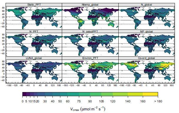 Simulated global patterns of Vcmax