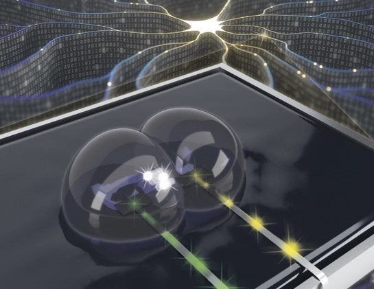 Computing ‘building blocks’ consisting of synthetic biomembranes behave as synaptic mimics that enable learning and computing tasks when configured in neuromorphic circuits according to researchers at Oak Ridge National Laboratory and the University of Tennessee. Credit: Image by Joseph Najem, Oak Ridge National Laboratory/Dept. of Energy