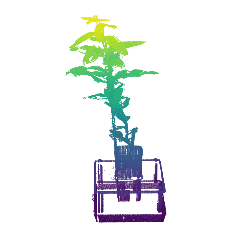 animated 3D rendering of a plant growing in a pot
