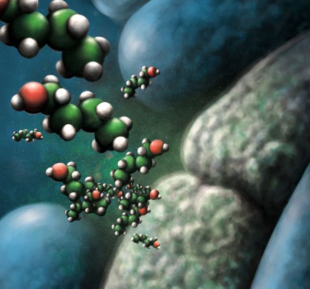 A deep look inside a cell membrane showing the production of materials from plant biomass, shown with shapes that consist of four green balls connected with a red ball on one end, dotted with smaller white balls on each surface.
