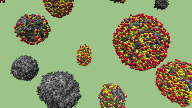 ORNL Placeholder Image