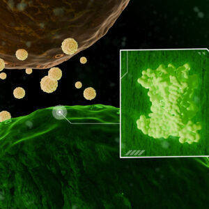 Biosensor detects early fungal outbreaks, advances plant biotechnology featured image