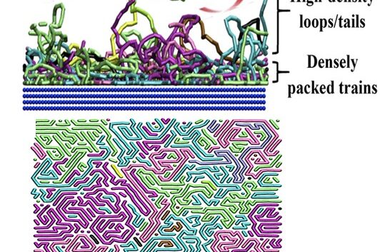 Polymer Architecture Enables Protein Resistant Surfaces