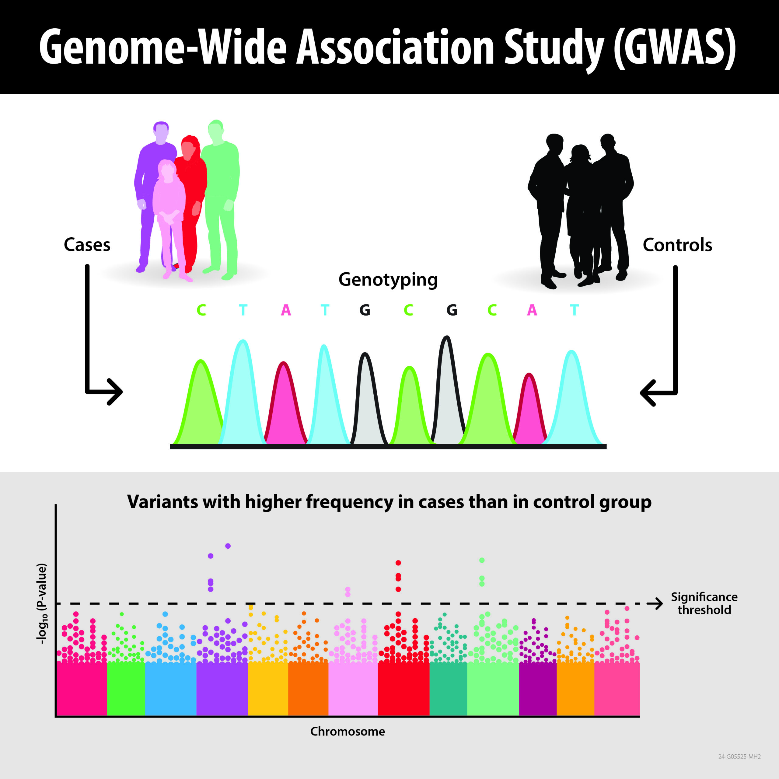 A genome-wide association study represented in a colorful graphic.