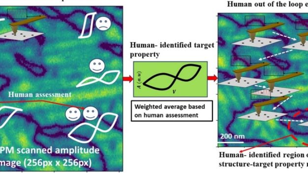 Human-AI collaborative solution for material characterization