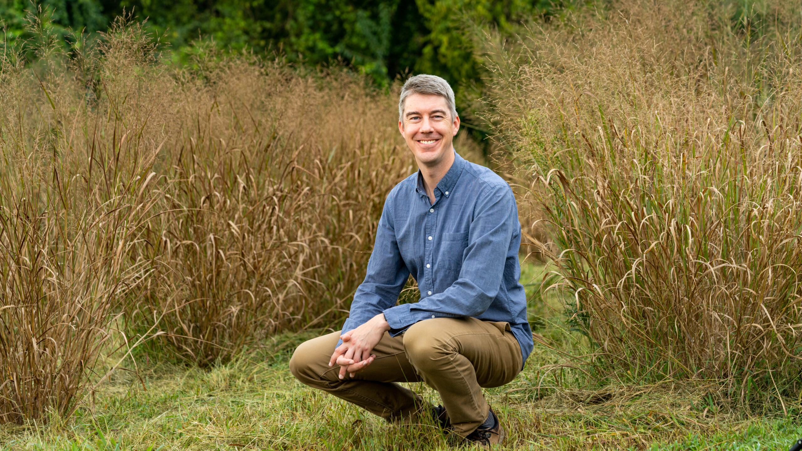 John Field in switchgrass field