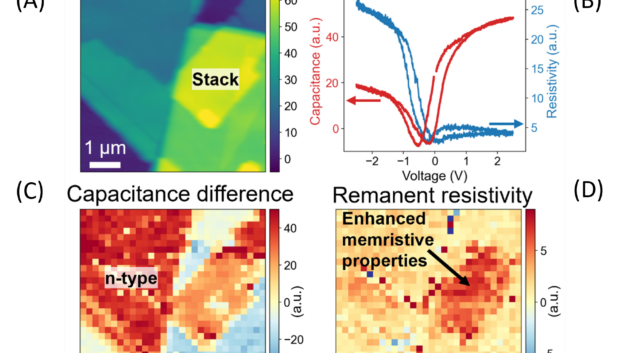 Nanoscale Electrical Memory Effects in layered 2D Materials