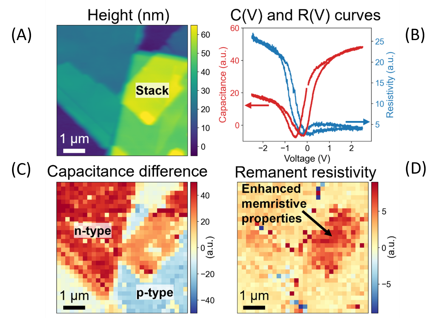 Nanoscale Electrical Memory Effects in layered 2D Materials