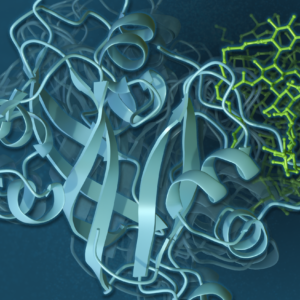 AI, molecular simulations get to the root of better plants featured image
