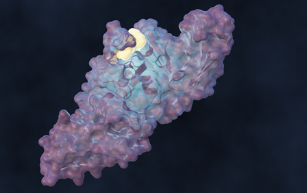 ORNL Placeholder Image
