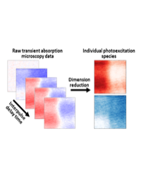 Multidimensional transient absorption microscopy data shows regions with either excitons (red) or free charge carriers (blue), but the majority of the image contains a mixture. Isolating the signatures of these distinct photoexcitations enables quantitati