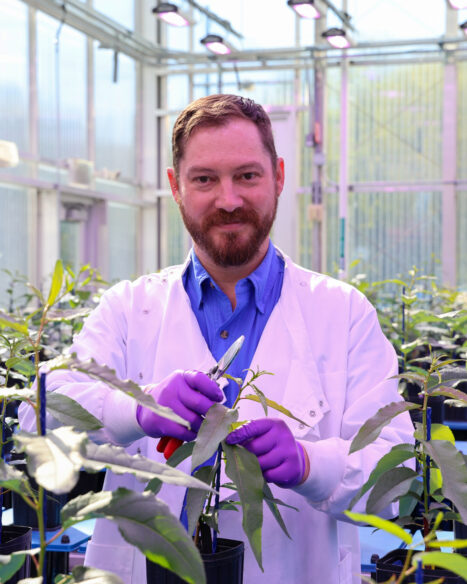 ORNL Placeholder Image